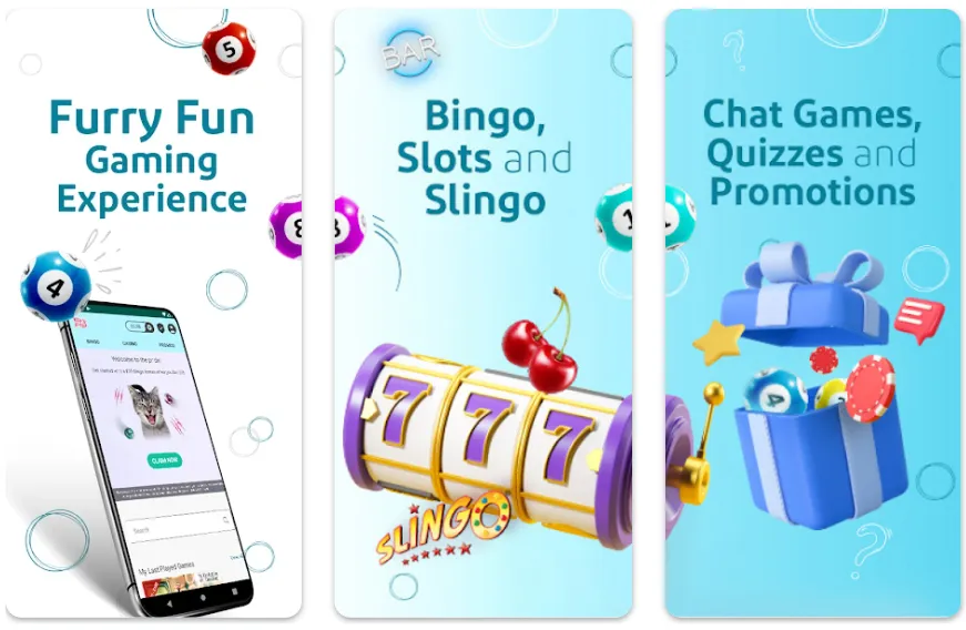 kitty-bingo-app-review