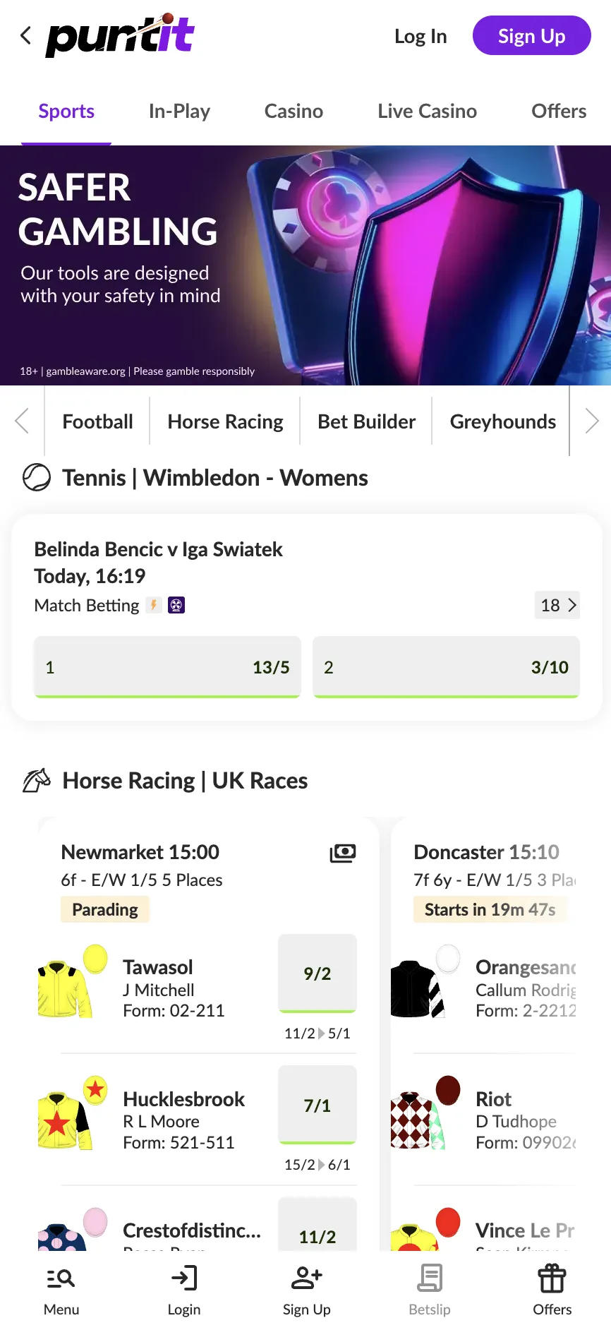 Puntit sports betting options