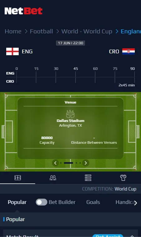 NetBet World Cup markets and features