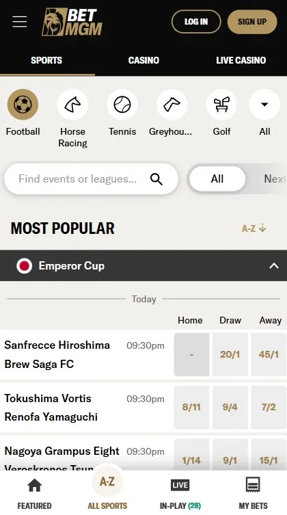 betmgm sportsbook odds