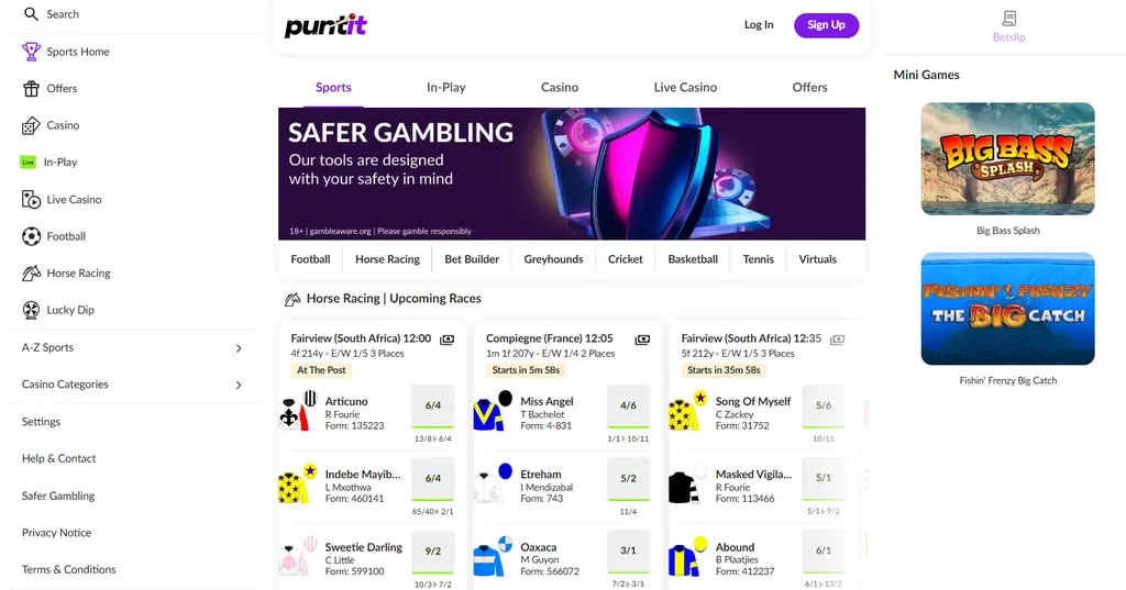 Puntit on desktop: website review