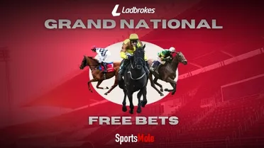 Ladbrokes Grand National offer: Get paid 5 places on each way bets