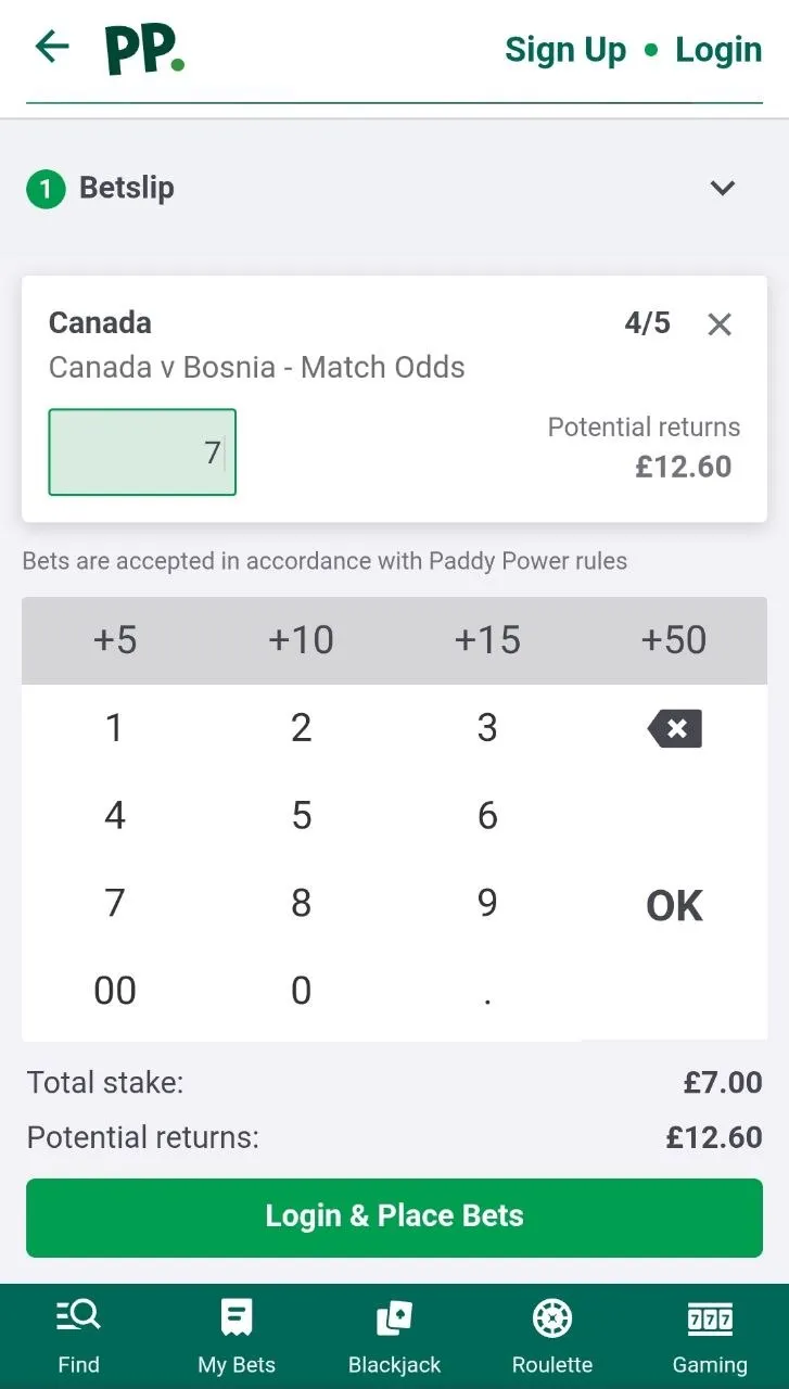 paddy power canada vs bosnia - world cup betting odds, betslip