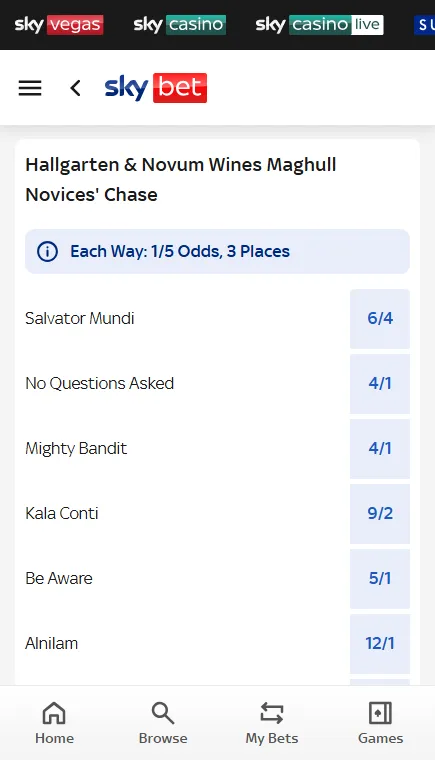 Sky Bet Grand National analysis - Hallgarten and Novum Wines Maghull Novices Chase odds