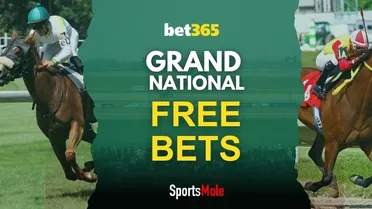 Bet365 Grand National offer: Get £30 in free bets (2026)