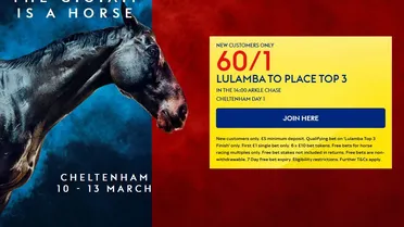 Sky Bet Cheltenham offer: Get up to £60 in free bets on Day 1