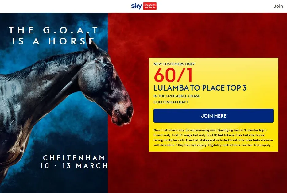 Sky Bet Cheltenham offer: Get up to £60 in free bets on Day 1