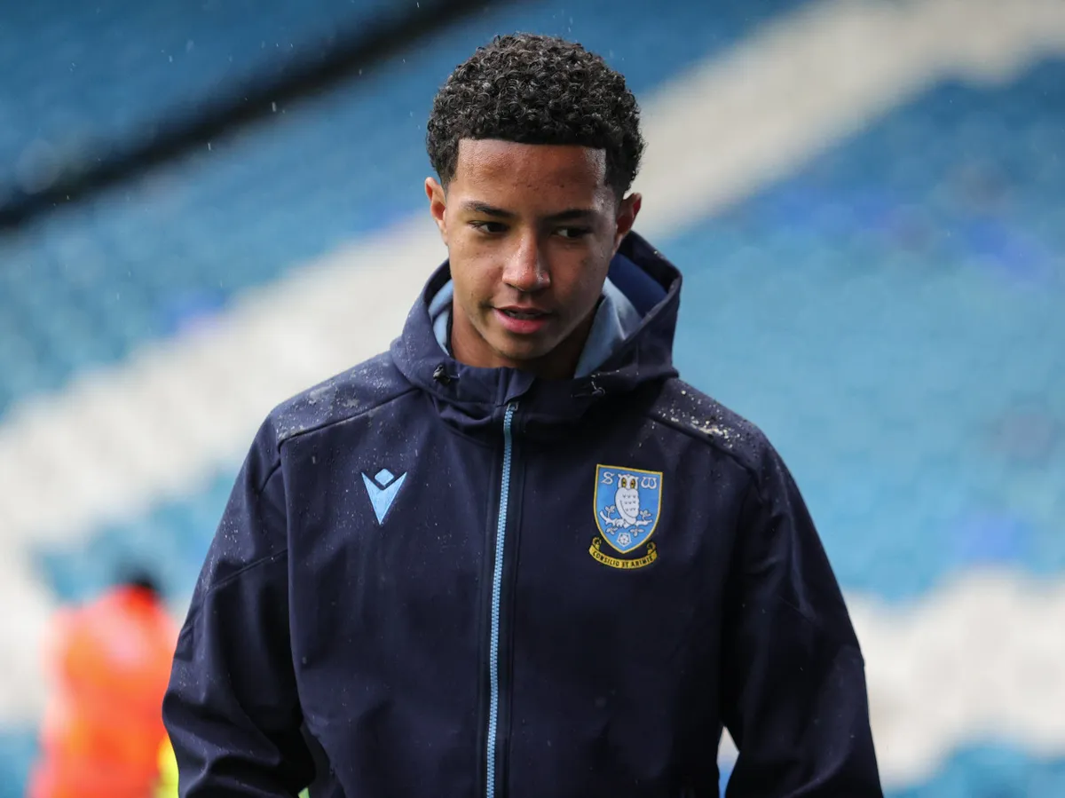 Sheffield Wednesday announce sale of prospect to Chelsea, say deal comes with 'protections'