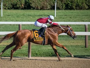 Learn to punt like a professional