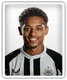 Adam Wilson