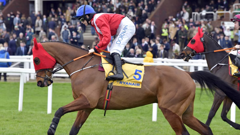 Cheltenham 2026: Festival legend Envoi Allen tragically passes away after Gold Cup