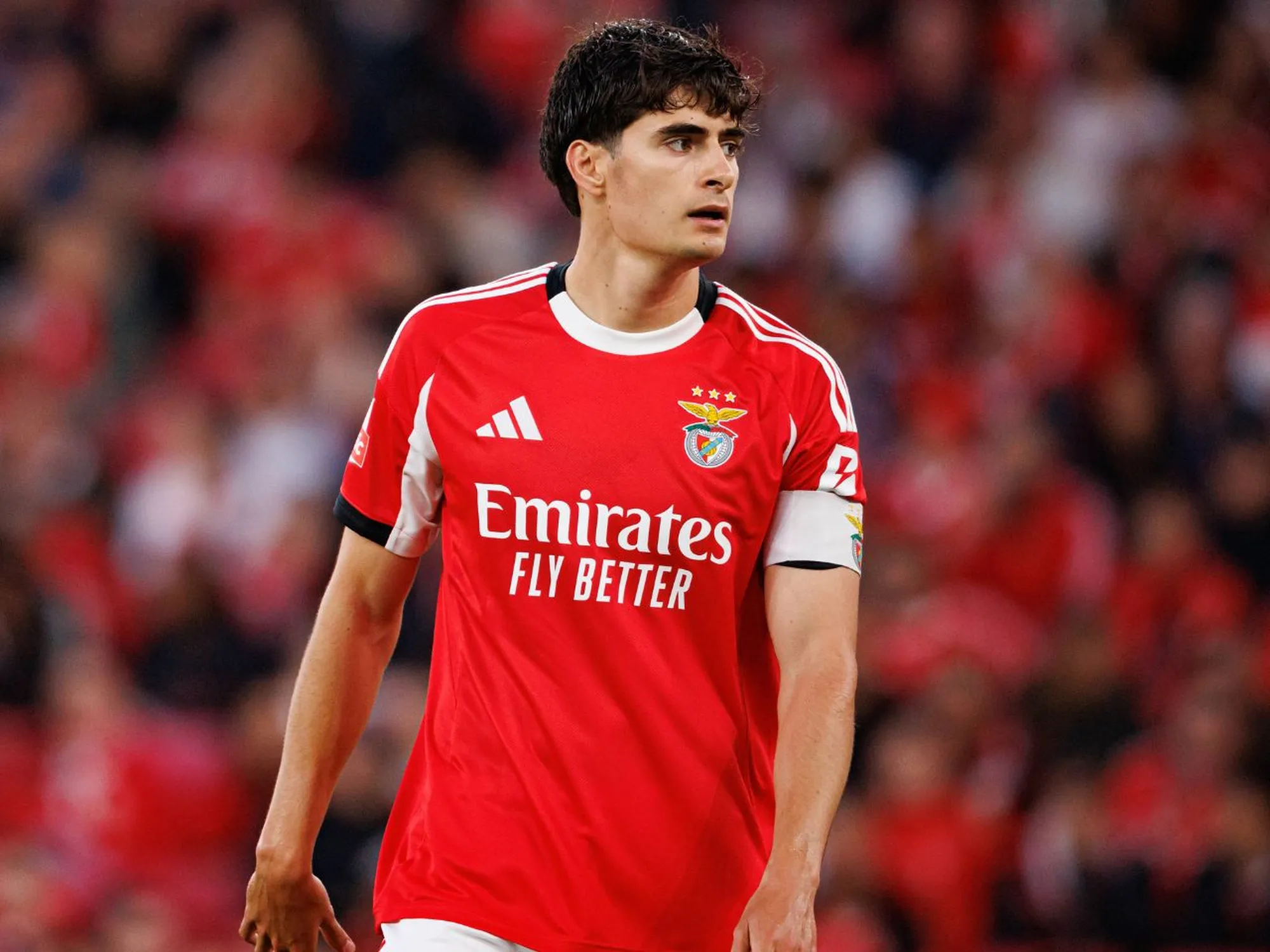 Bournemouth Pursues Benfica Defender Antonio Silva as Senesi Replacement