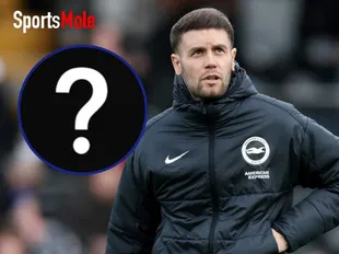 A Fab price? European club ‘informed’ about Hurzeler’s Brighton release clause