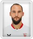 Nemanja Gudelj