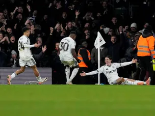 Craven Cottage comeback: Fulham beat Brighton in dramatic turnaround triumph