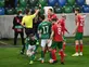 Northern Ireland 0-0 Bulgaria: Baraclough's side held at Windsor Park