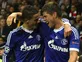 Schalke want Afellay stay
