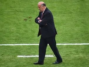 Del Bosque to consider Spain future
