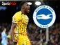 Danny Welbeck/Brighton & Hove Albion composite