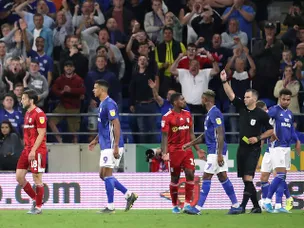 Scott Parker claims Harry Arter should not have been sent off for diving