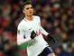 Mason: 'Lamela capable of brilliance'