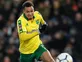 Cardiff confirm Josh Murphy capture