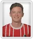 Michael Gregoritsch