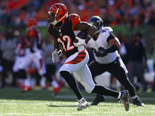 Bengals ahead against Texans