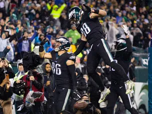 Which American sports fans are the most intelligent?