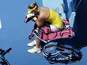Germany's Angelique Kerber sit in her chair during her fourth round match against Ekaterina Makarova at the Australian Open tennis championship on January 20, 2013