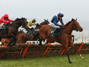Qualando wins Juvenile Handicap Hurdle