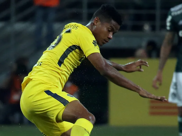 Copa Libertadores final suspended