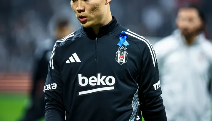 Besiktas: the story explained — image 1