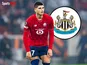 Fernandez-Pardo Newcastle