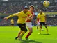 Watford re-sign Adlene Guedioura
