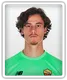 Mile Svilar