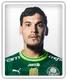 Gustavo Gomez