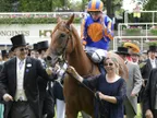 Royal Ascot 2025 tips - Best bets for Day 4