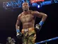 Wilder records 29th knockout
