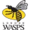 Wasps