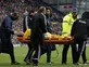 Adlene Guedioura 'out for six weeks'