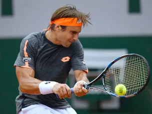 Ferrer storms through to Wimbledon second round
