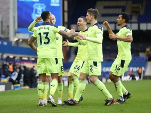 Callum Wilson nets brace as Newcastle stun Everton