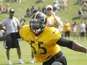 Steelers' Stevenson Sylvester at practice on July 28, 2012