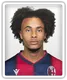 Joshua Zirkzee