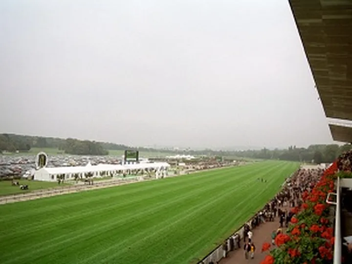 Danedream wins Prix de l'Arc de Triomphe