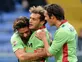 Watford complete Alessandro Diamanti loan signing