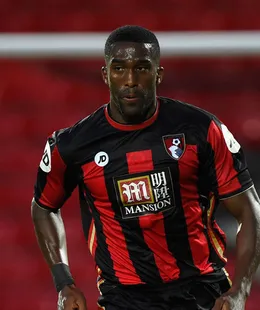 Sylvain Distin