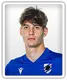 Alessandro Zanoli