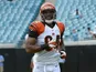 Cincinnati Bengals tight end Jermaine Gresham warms up on 30 September, 2012